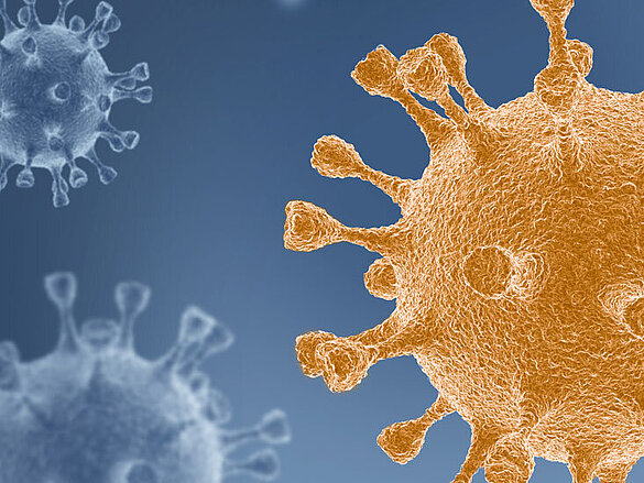 [Translate to Nederlands:] 