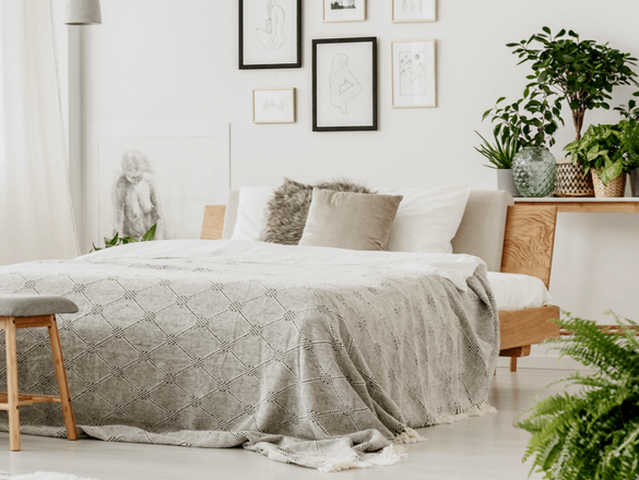 [Translate to Francais:] 